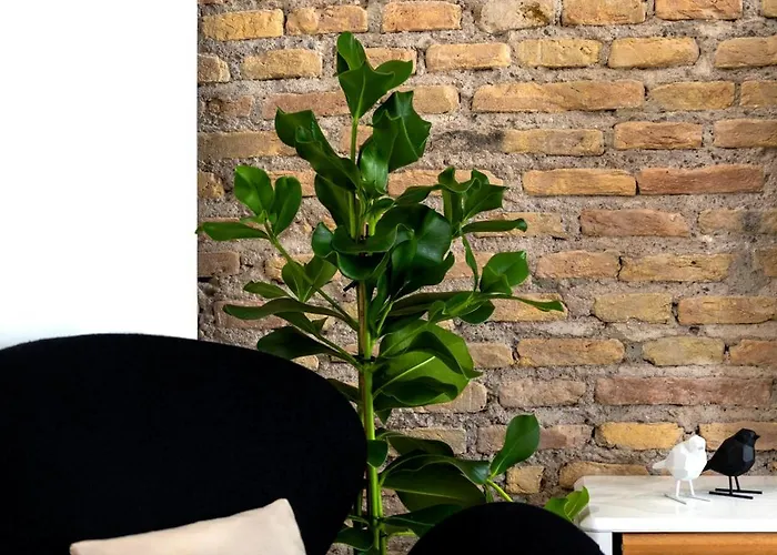 Colosseum - Diana's Design Apartment *
